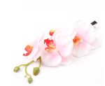 hårclips, hvid-lyserød orkideflor